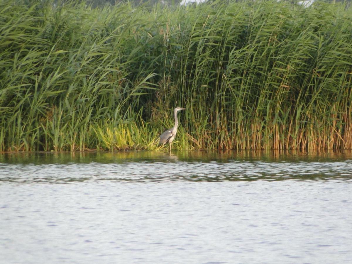 Zacisze Domki Letniskowe Karsibor Świnoujście Exterior foto