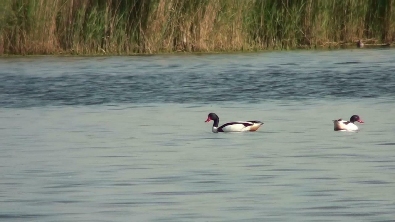 Zacisze Domki Letniskowe Karsibor Świnoujście Exterior foto
