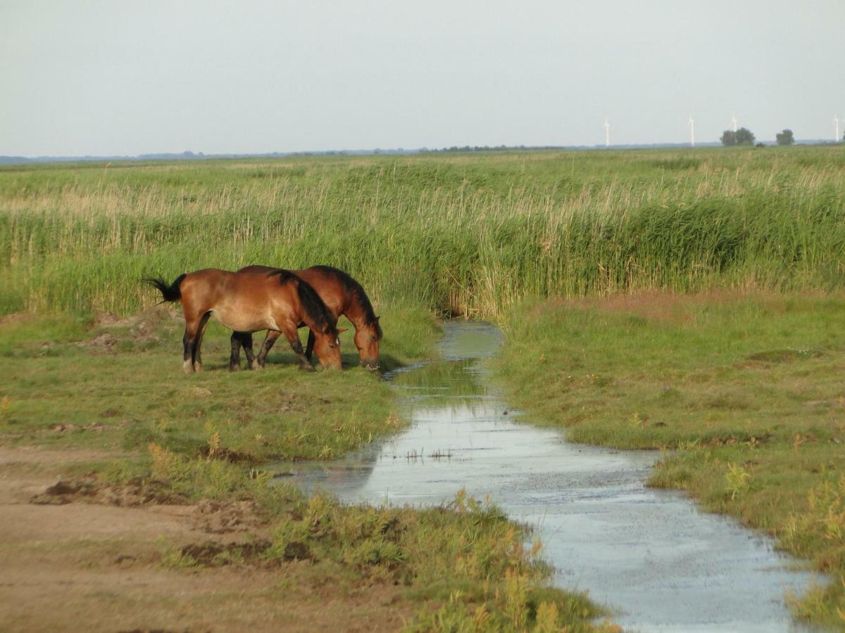 Zacisze Domki Letniskowe Karsibor Świnoujście Exterior foto